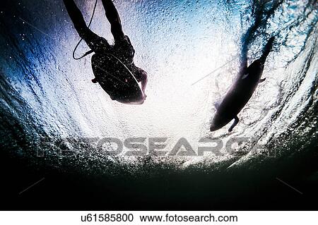 Stock Image - Low angle underwater view of two silhouetted surfers paddling through ocean waves in Bali, Indonesia. Fotosearch