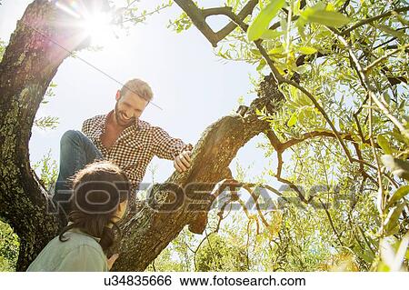Stock Photograph - Low angle view of young couple climbing tree. Fotosearch