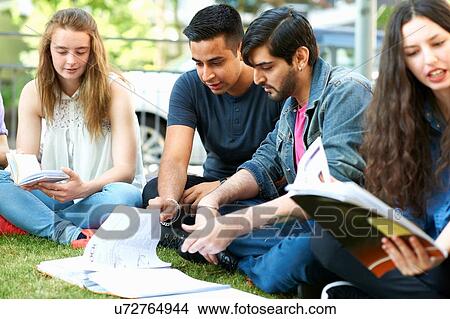 Male and female students sitting working on college campus View Large Photo Image Picture - Male and female students sitting working on college campus. Fotosearch