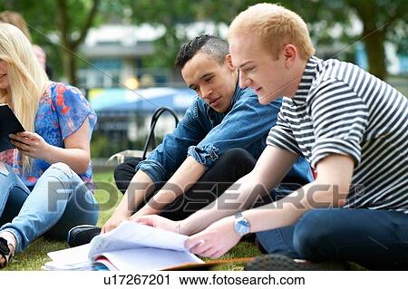 Male students sitting working on college campus View Large Photo Image Stock Image - Male students sitting working on college campus. Fotosearch
