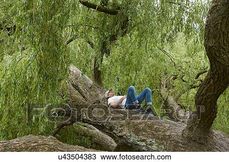 Man relaxing on tree trunk View Large Photo Image Stock Image - Man relaxing on tree trunk. Fotosearch