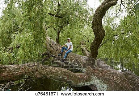Man relaxing on tree trunk View Large Photo Image Stock Image - Man relaxing on tree trunk. Fotosearch