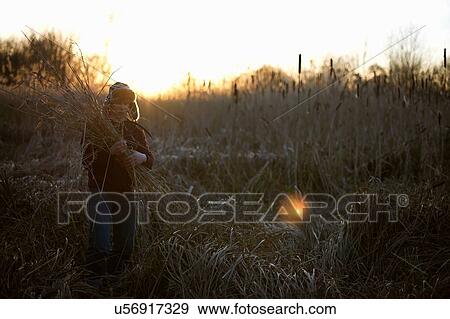 Stock Photo - Mature man gathering crops. Fotosearch