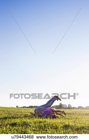 Mature woman and daughter rolling backwards in park View Large Photo Image Stock Photo - Mature woman and daughter rolling backwards in park. Fotosearch
