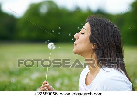 Mature woman blowing dandelion flower View Large Photo Image Stock Photograph - Mature woman blowing dandelion flower. Fotosearch