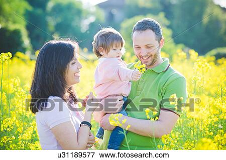 Mid adult couple and toddler daughter in yellow blossom field View Large Photo Image Stock Photo - Mid adult couple and toddler daughter in yellow blossom field. Fotosearch