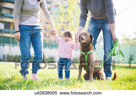Mid adult couple holding hands with toddler daughter in park View Large Photo Image Stock Photography - Mid adult couple holding hands with toddler daughter in park. Fotosearch