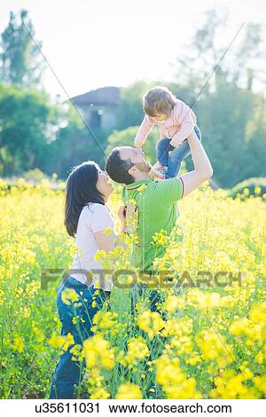 Mid adult couple playing with toddler daughter in yellow blossom field View Large Photo Image Stock Image - Mid adult couple playing with toddler daughter in yellow blossom field. Fotosearch