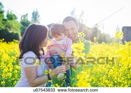 Stock Image - Mid adult couple with toddler daughter in field of yellow blossoms. Fotosearch