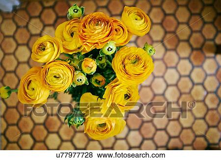 Stock Photo - Overhead view of a bunch of yellow roses against honeycomb linoleum floor. Fotosearch