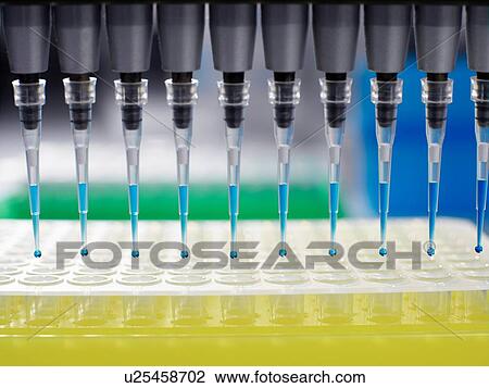 Stock Image - Pipetting samples into multi-well dish in laboratory. Fotosearch