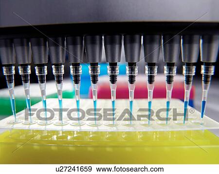 Stock Photo - Pipetting samples into multi-well dish in laboratory. Fotosearch
