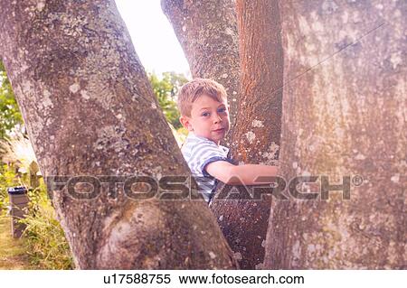 Stock Photography - Portrait of boy between tree trunks. Fotosearch