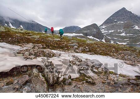 Picture - Rear view of three hikers hiking across frozen landscape, Ural mountains, Russia. Fotosearch