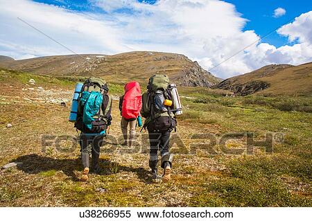 Stock Photography - Rear view of three hikers hiking across moorland, Ural mountains, Russia. Fotosearch