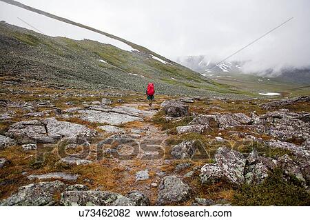 Stock Image - Rear view of young male hiker hiking in rocky valley, Ural mountains, Russia. Fotosearch
