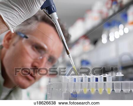 Stock Photo - Scientist pipetting sample into eppendorf tube in laboratory. Fotosearch