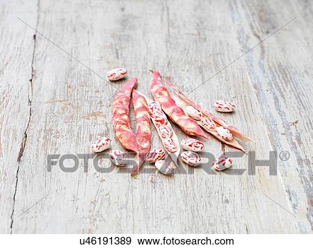 Stock Photo - Still life of borlotti beans (also known as cranberry beans, roman beans or romano beans) on wooden table. Fotosearch