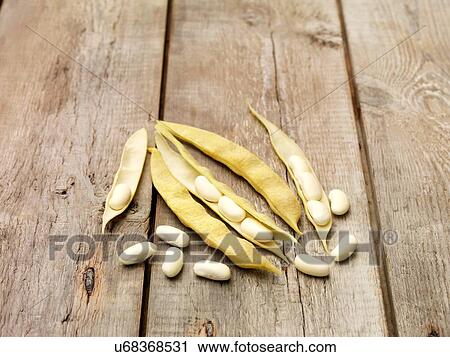 Still life of cannellini beans (also known as white kidney beans) on wooden table View Large Photo Image Stock Image - Still life of cannellini beans (also known as white kidney beans) on wooden table. Fotosearch
