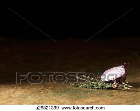 Still life of half a fresh red onion with fresh thyme tied with string on table View Large Photo Image Stock Photo - Still life of half a fresh red onion with fresh thyme tied with string on table. Fotosearch