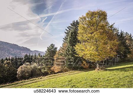 Sunlit autumn landscape View Large Photo Image Stock Image - Sunlit autumn landscape. Fotosearch