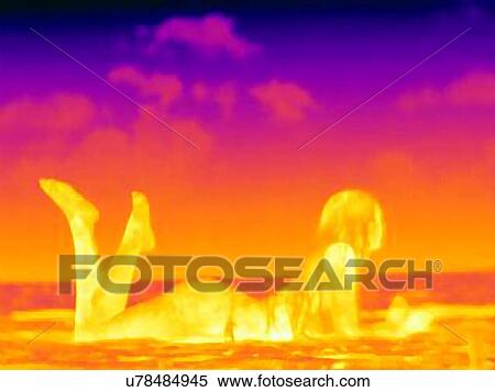 Thermal image side view of mid adult woman lying on front on beach View Large Photo Image Stock Photography - Thermal image side view of mid adult woman lying on front on beach. Fotosearch