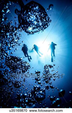 Stock Image - Underwater silhouette of three scuba divers and bubbles, Bali, Indonesia. Fotosearch