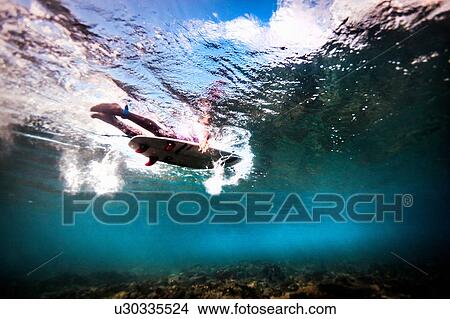 Underwater view of surfer paddling through ocean to catch waves in Bali, Indonesia View Large Photo Image Picture - Underwater view of surfer paddling through ocean to catch waves in Bali, Indonesia. Fotosearch