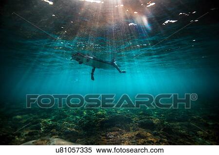 Underwater view of surfer waiting on a shallow reef for a wave in Bali, Indonesia View Large Photo Image Stock Photography - Underwater view of surfer waiting on a shallow reef for a wave in Bali, Indonesia. Fotosearch