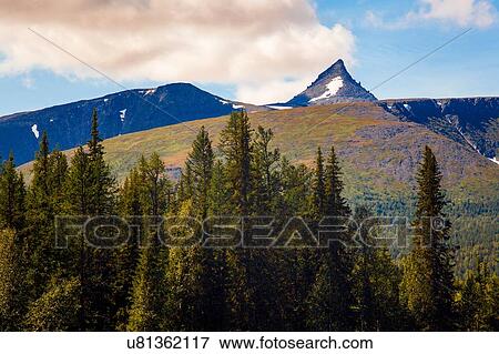View of forest and mountain peak, Ural mountains, Russia View Large Photo Image Stock Photo - View of forest and mountain peak, Ural mountains, Russia. Fotosearch