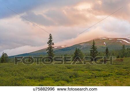 View of forests and mountains at dawn, Ural mountains, Russia View Large Photo Image Stock Photograph - View of forests and mountains at dawn, Ural mountains, Russia. Fotosearch