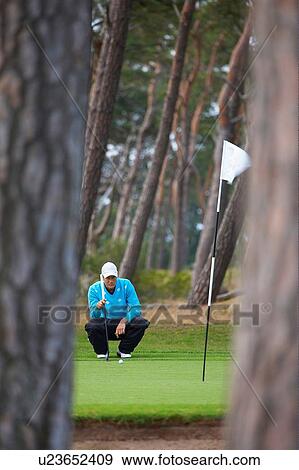 View through trees of golfer crouching down considering strategy View Large Photo Image Stock Photo - View through trees of golfer crouching down considering strategy. Fotosearch