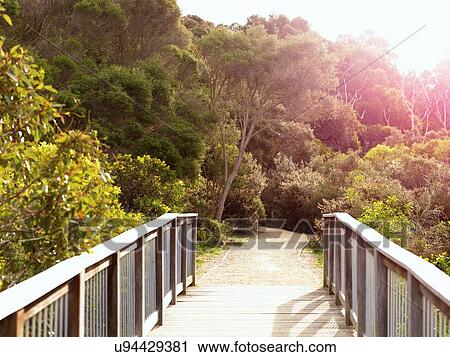 Wooden footbridge to beach, Point Addis National Park, Anglesea, Australia View Large Photo Image Stock Image - Wooden footbridge to beach, Point Addis National Park, Anglesea, Australia. Fotosearch