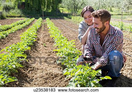 Stock Image - Young couple crouched in vegetable garden holding smartphone smiling. Fotosearch