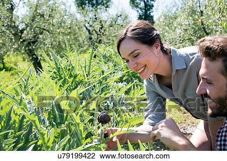 Stock Image - Young couple looking at purple artichoke plant smiling. Fotosearch