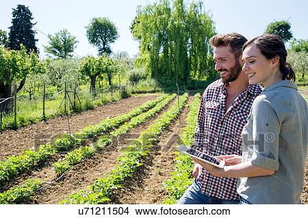 Young couple standing in vegetable garden holding digital tablet smiling View Large Photo Image Picture - Young couple standing in vegetable garden holding digital tablet smiling. Fotosearch