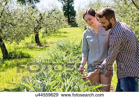 Stock Photo - Young couple standing looking down at purple artichoke plant. Fotosearch
