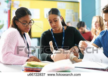 College students in Childcare class View Large Photo Image Stock Photo - College students in Childcare class. Fotosearch