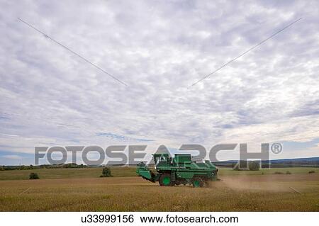 Combine harvester in field View Large Photo Image Stock Photograph - Combine harvester in field. Fotosearch