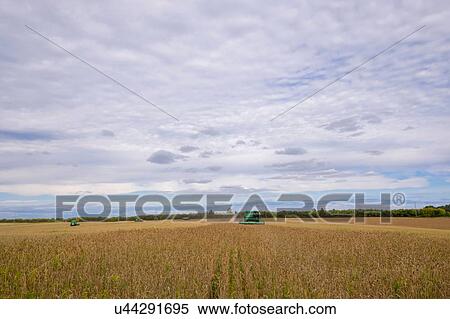 Stock Photography - Combine harvester in field. Fotosearch