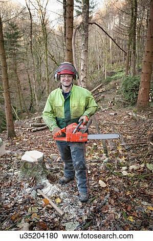Stock Image - Conservationist working in a reserve to remove non-native conifer trees for natural forest restoration. Fotosearch