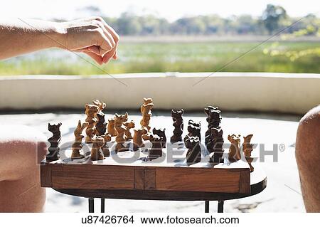 Cropped shot of woman and man playing chess at safari lodge, Kafue National Park, Zambia View Large Photo Image Picture - Cropped shot of woman and man playing chess at safari lodge, Kafue National Park, Zambia. Fotosearch