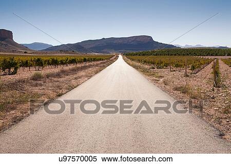 Stock Photography - Diminishing perspective of empty road through vineyard and mountain range, Jumilla region, Spain. Fotosearch