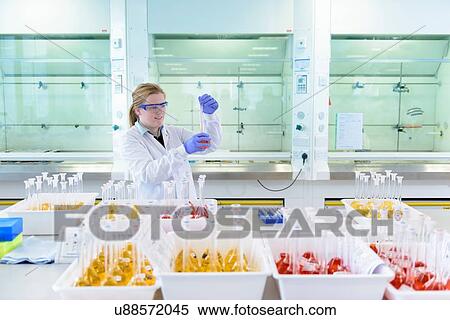 Female scientist testing samples in laboratory View Large Photo Image Stock Photography - Female scientist testing samples in laboratory. Fotosearch