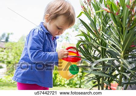 Female toddler watering plants with toy watering can in garden View Large Photo Image Stock Image - Female toddler watering plants with toy watering can in garden. Fotosearch