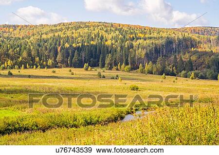 Field and trees, Ural, Russia View Large Photo Image Stock Photo - Field and trees, Ural, Russia. Fotosearch