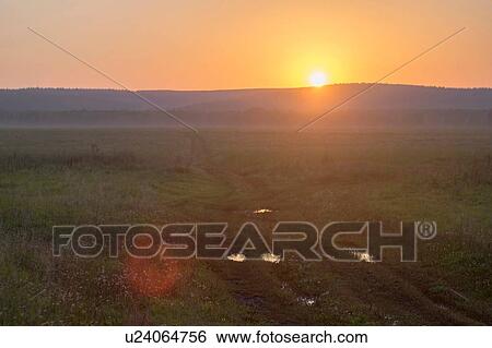 Stock Photograph - Field at sunset. Fotosearch