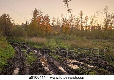 Field, with mud tracks View Large Photo Image Picture - Field, with mud tracks. Fotosearch