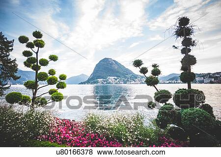 Formal garden and flower beds, Lake Lugano, Switzerland View Large Photo Image Stock Photo - Formal garden and flower beds, Lake Lugano, Switzerland. Fotosearch