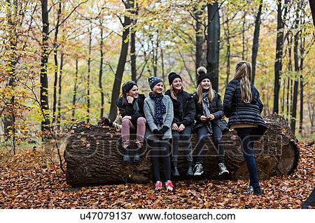Girls chatting on tree trunk in autumn forest View Large Photo Image Stock Photo - Girls chatting on tree trunk in autumn forest. Fotosearch
